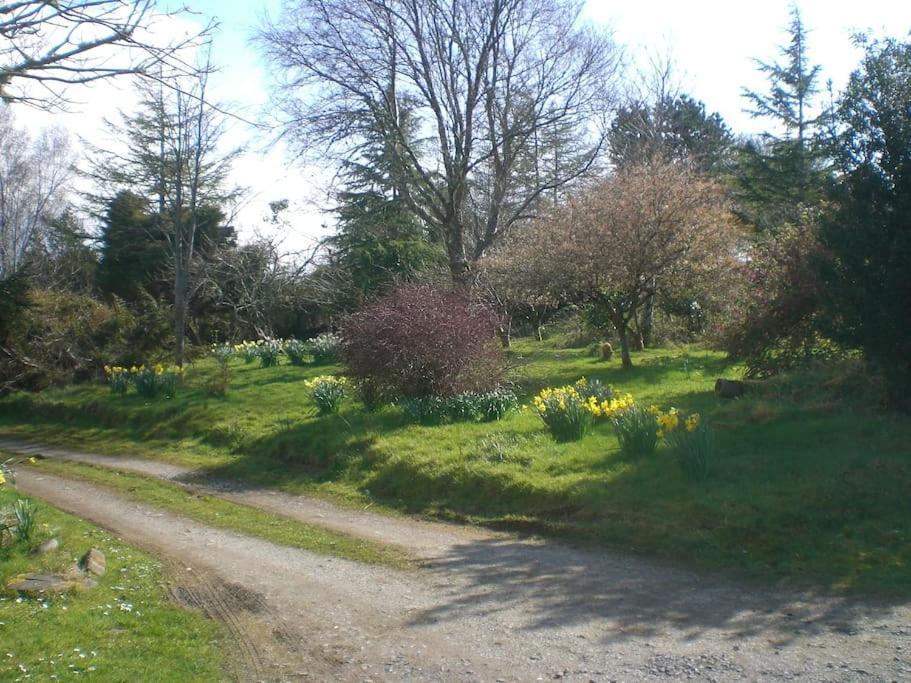 Innisfreedom Cabin Sligo Kültér fotó